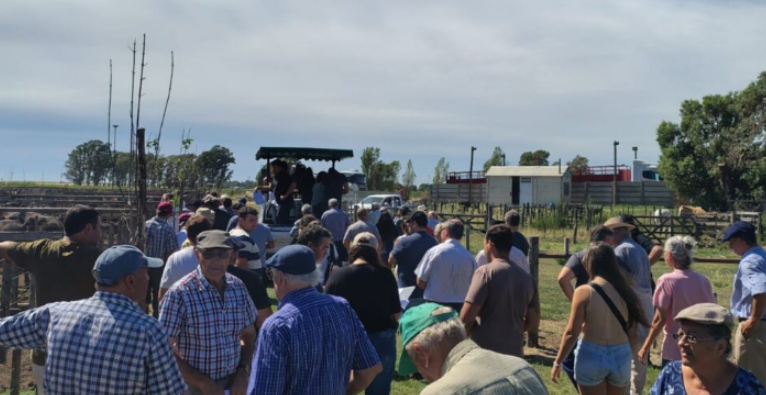 Fuerte puja y precios destacados en el remate sabatino