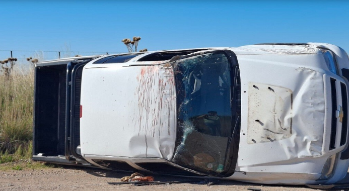 Tres Arroyos: esquiv&oacute; un perro, volc&oacute; y sufri&oacute; heridas graves