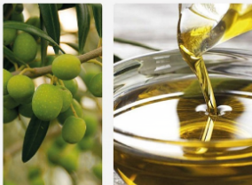 Fiesta del Olivo: hoy inician las charlas t&eacute;cnicas