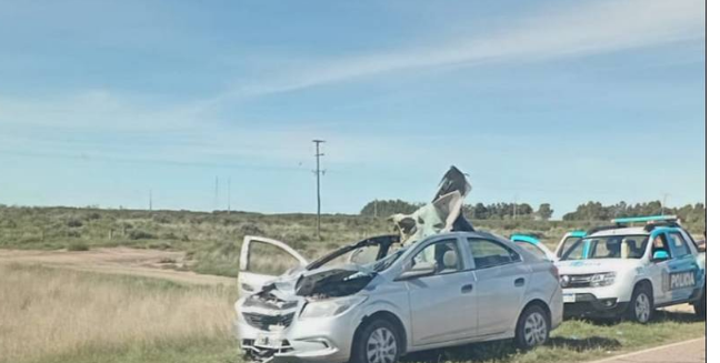 Ruta 3 sur: chocaron con un caballo y un hombre sufri&oacute; heridas graves