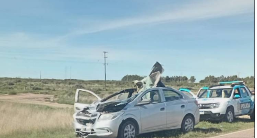 Ruta 3 sur: chocaron con un caballo y un hombre sufri&oacute; heridas graves
