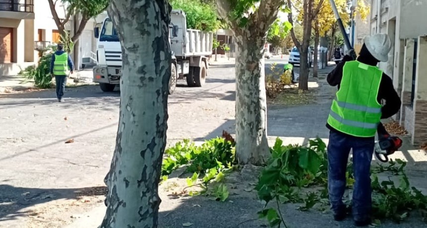 Informes municipales