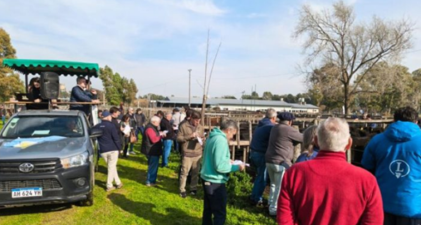 Con la vaca como bandera, Dorrego volvi&oacute; a mostrar un mercado firme