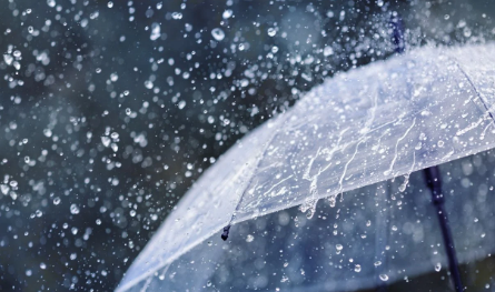 Fin de semana con lluvias  ¿llega la Tormenta de Santa Rosa?