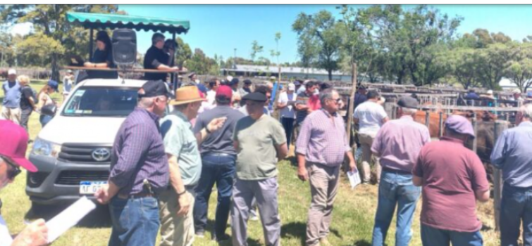 Otro remate “a toda máquina” en la ciudad